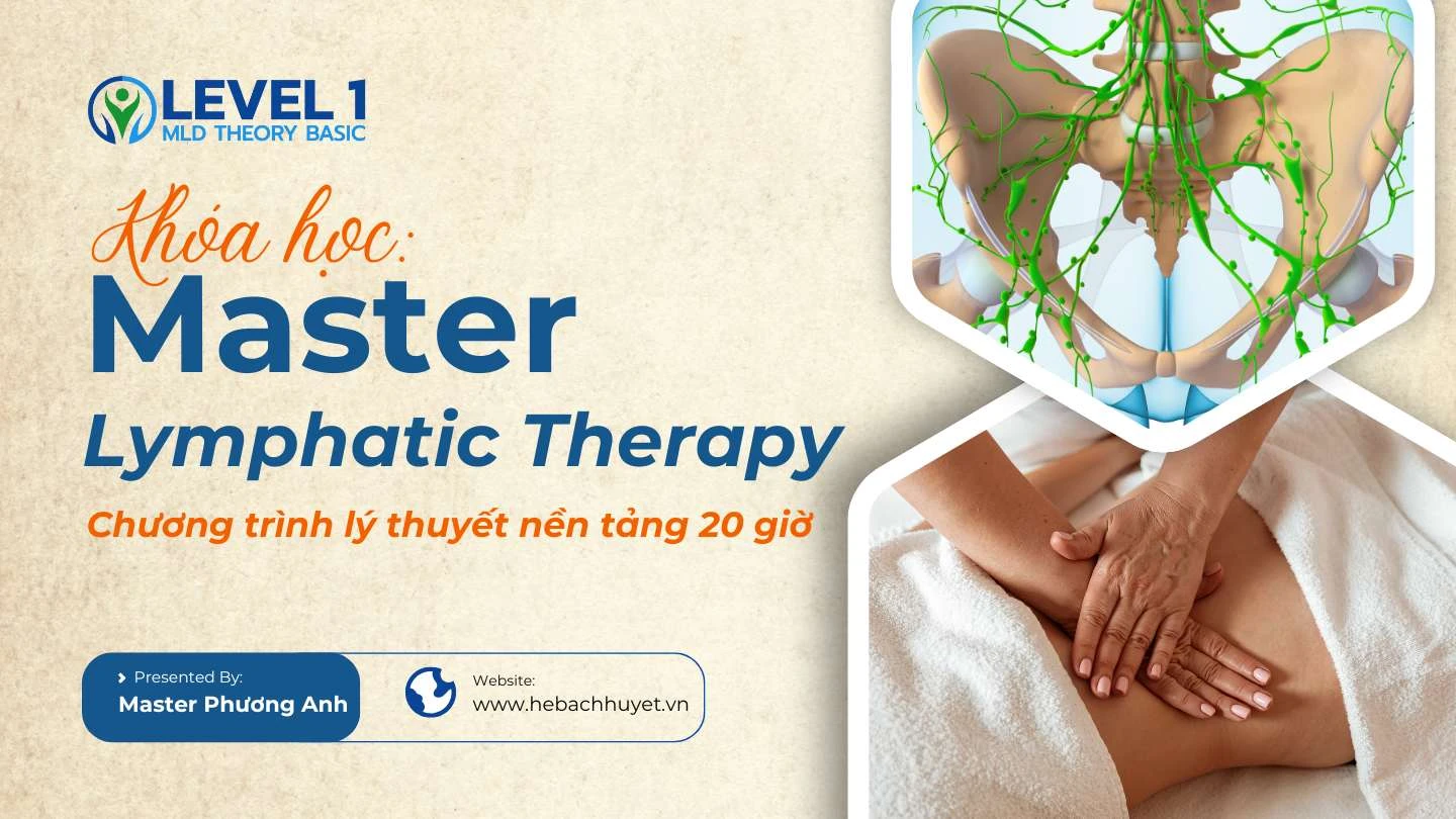 Khóa học: Level 1 MLD Theory Basic (Khóa Lý thuyết nền tảng bắt buộc cho HV Level 1)