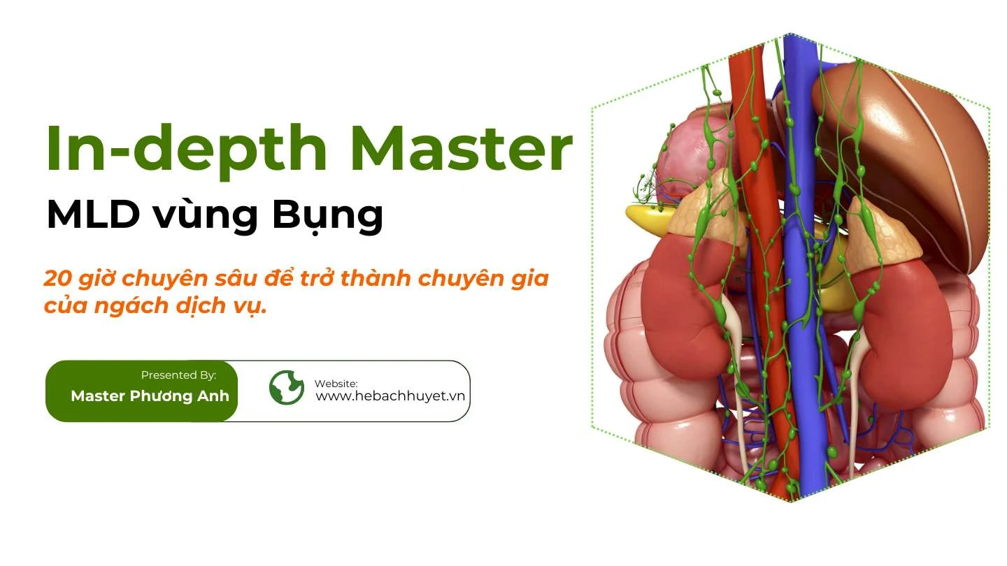 Khóa chuyên đề: Dẫn lưu Bạch Huyết Vùng Bụng