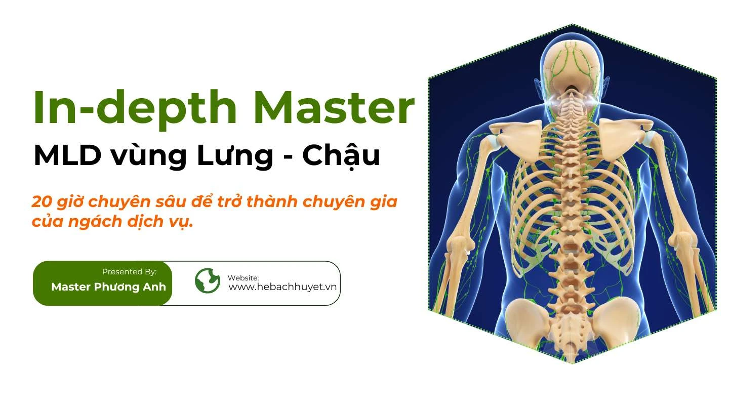Khóa chuyên đề: Dẫn lưu Bạch Huyết Vùng Lưng - Chậu