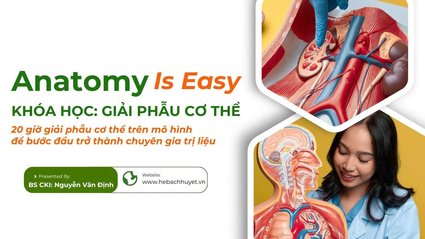 Khóa Học: Giải phẫu cơ thể (Anatomy Is Easy) - Level 1